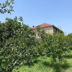 Homestay Mance, Berat